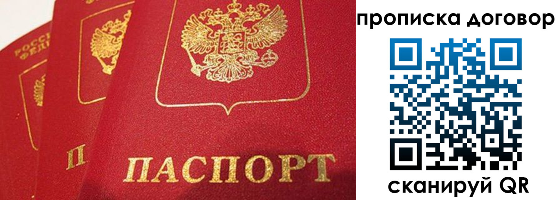 найти адрес прописки в Пензе